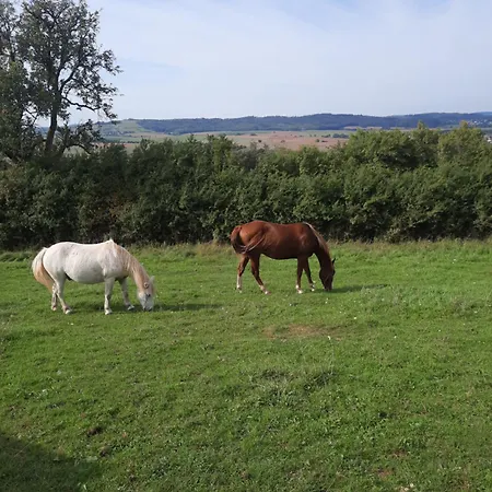 Urlaub In Der Mit Tieren - Erlebnis Jurte Lyxtält *